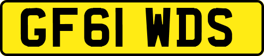 GF61WDS