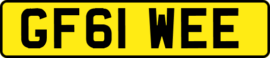 GF61WEE
