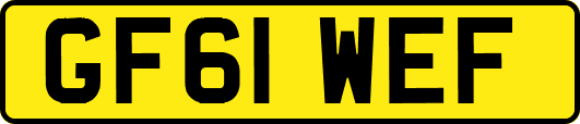 GF61WEF