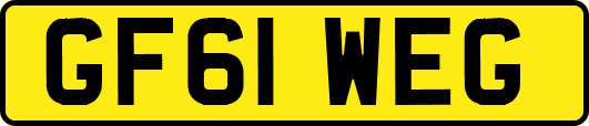 GF61WEG