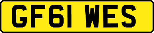 GF61WES