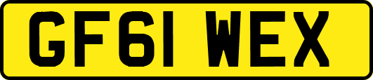 GF61WEX