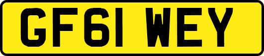 GF61WEY