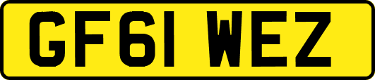 GF61WEZ