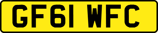 GF61WFC