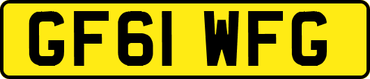 GF61WFG