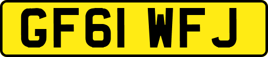 GF61WFJ