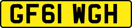 GF61WGH