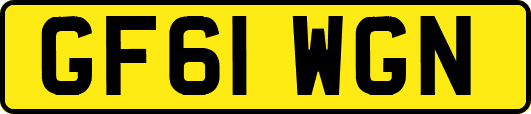 GF61WGN