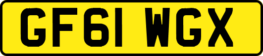 GF61WGX