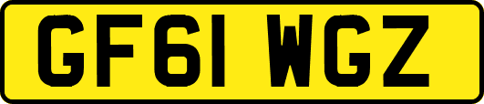 GF61WGZ