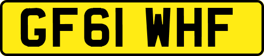 GF61WHF