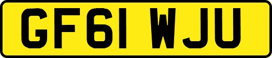 GF61WJU
