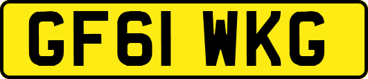GF61WKG