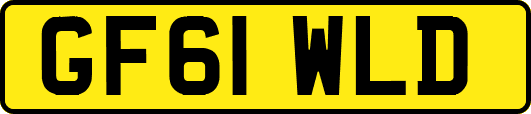 GF61WLD