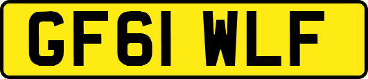 GF61WLF