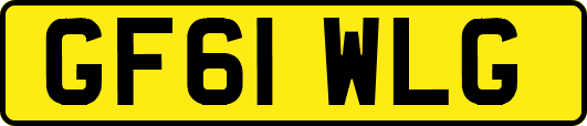 GF61WLG