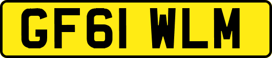 GF61WLM