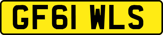 GF61WLS