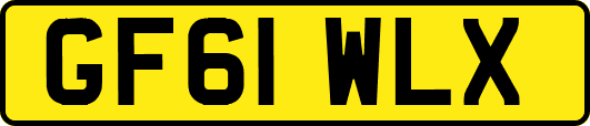 GF61WLX