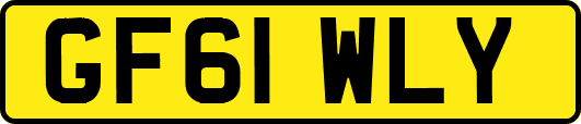 GF61WLY