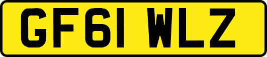GF61WLZ