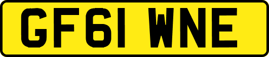 GF61WNE
