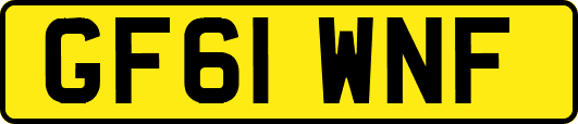 GF61WNF