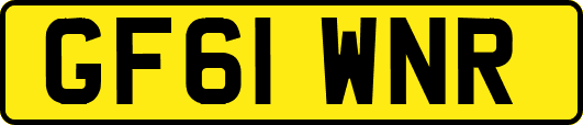 GF61WNR