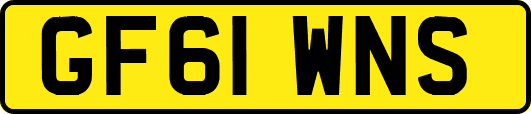 GF61WNS