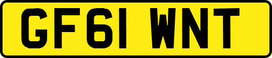 GF61WNT