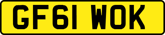 GF61WOK