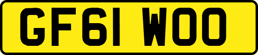 GF61WOO