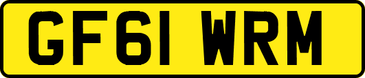 GF61WRM
