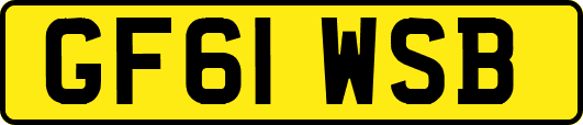 GF61WSB