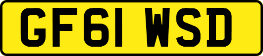 GF61WSD