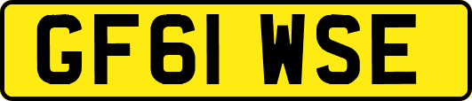 GF61WSE