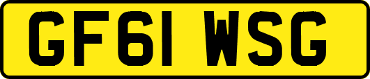 GF61WSG
