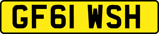 GF61WSH