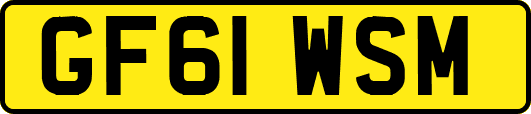 GF61WSM