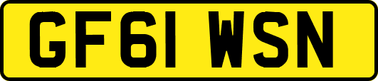 GF61WSN