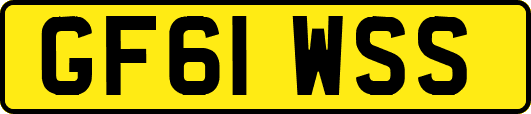 GF61WSS