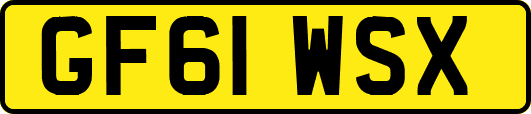 GF61WSX
