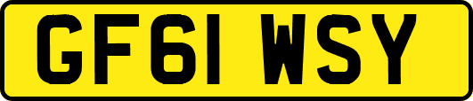 GF61WSY