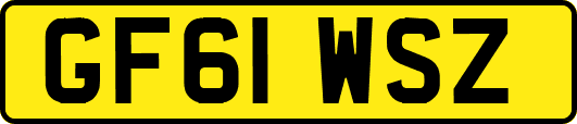 GF61WSZ