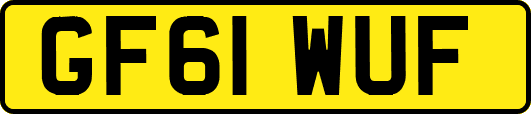 GF61WUF
