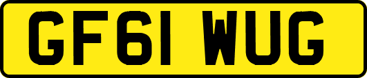 GF61WUG