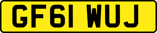 GF61WUJ
