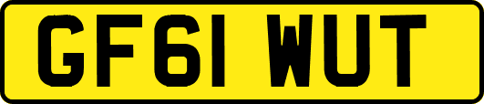 GF61WUT