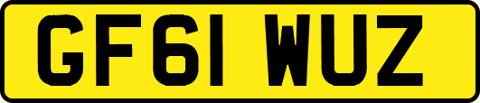 GF61WUZ